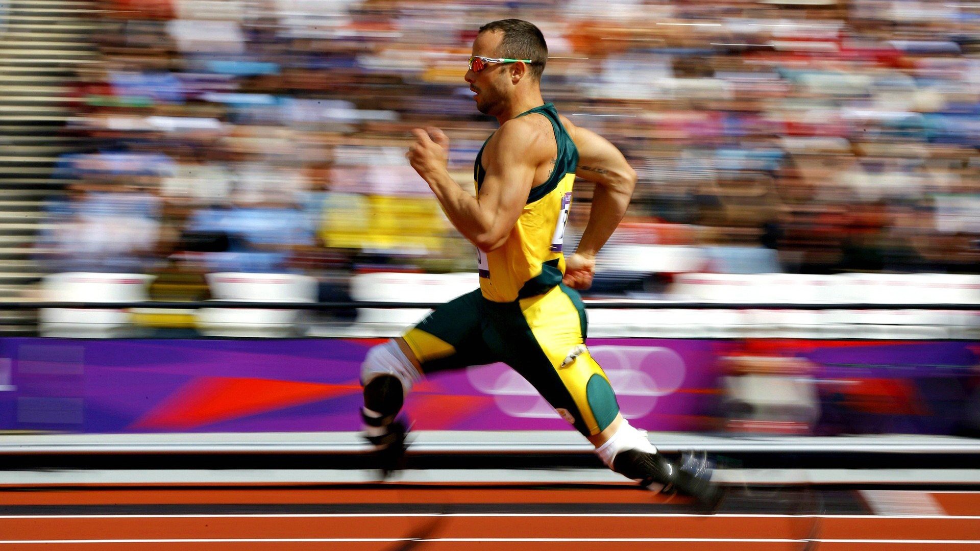 星空体育-“美洲狮队在冠军赛中的坚韧表现令全世界震惊”