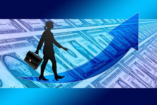 星空体育入口-女子赛事门票收入创新高，商业赞助进一步跟进，女子锦标赛